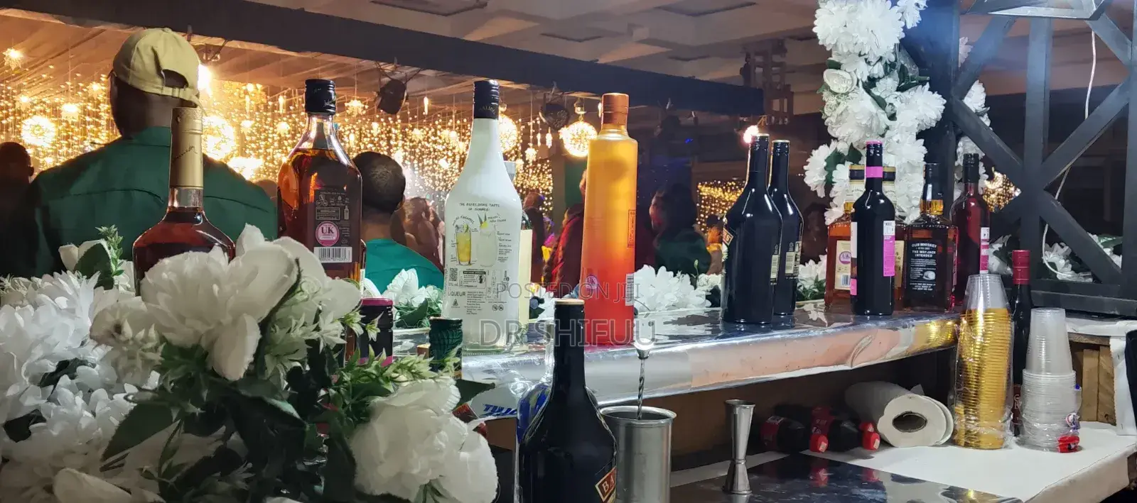 Cocktail Mixologist