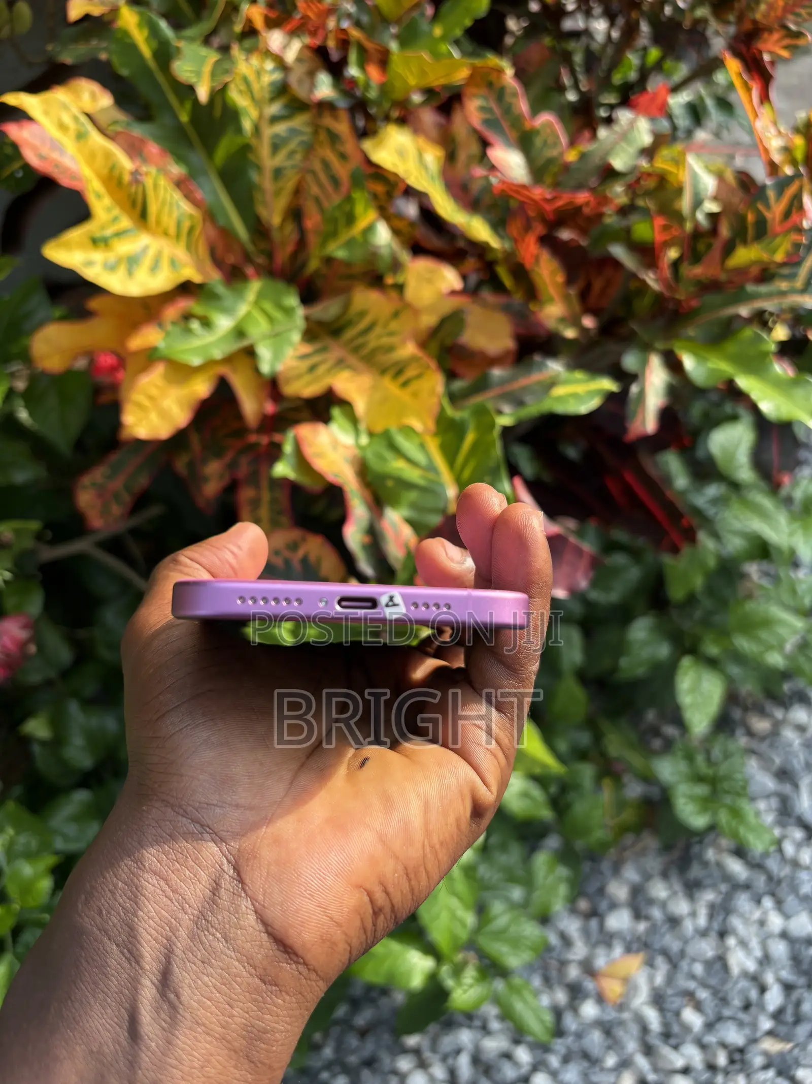 Apple iPhone 16 Plus 128 GB Pink