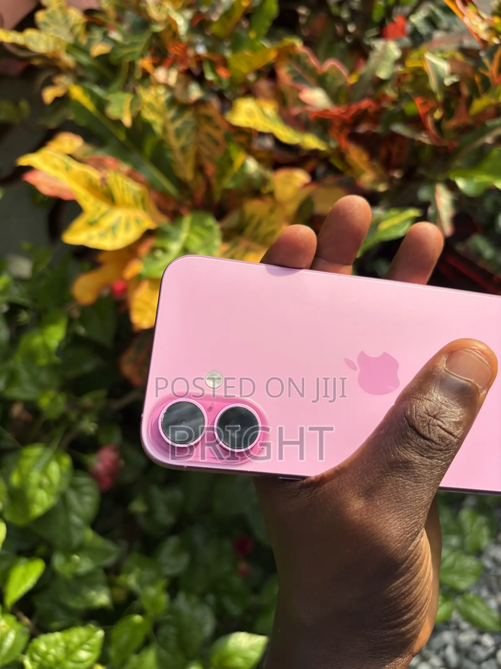 Apple iPhone 16 Plus 128 GB Pink