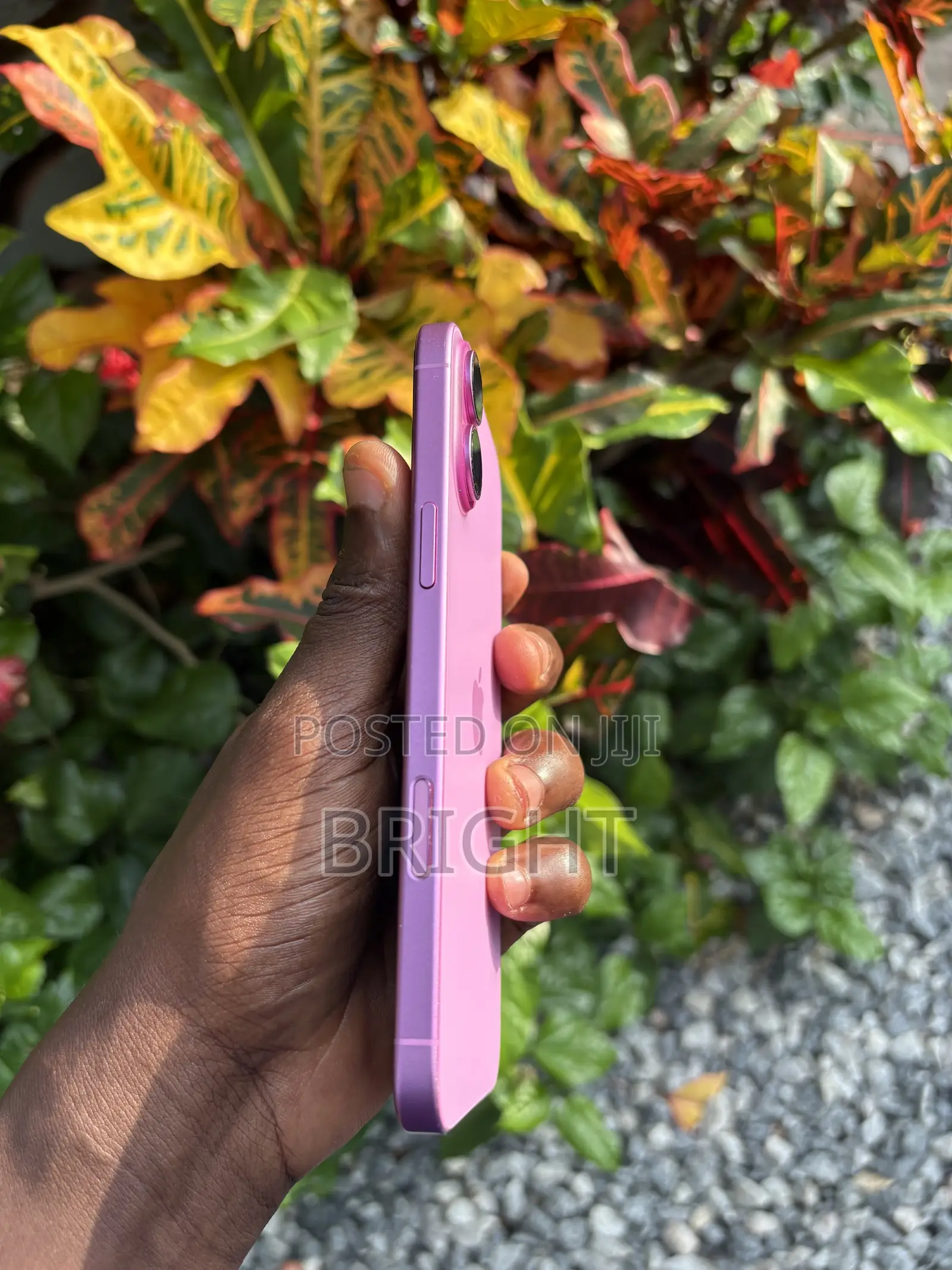 Apple iPhone 16 Plus 128 GB Pink