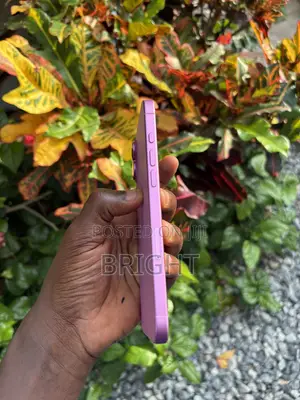 Apple iPhone 16 Plus 128 GB Pink