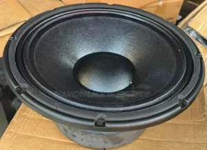 JAC 12inches Double Magnet Naked Speaker (1pair Which Means 2pieces)
