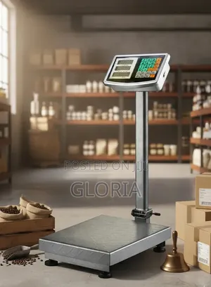 300kg Comercial Scale