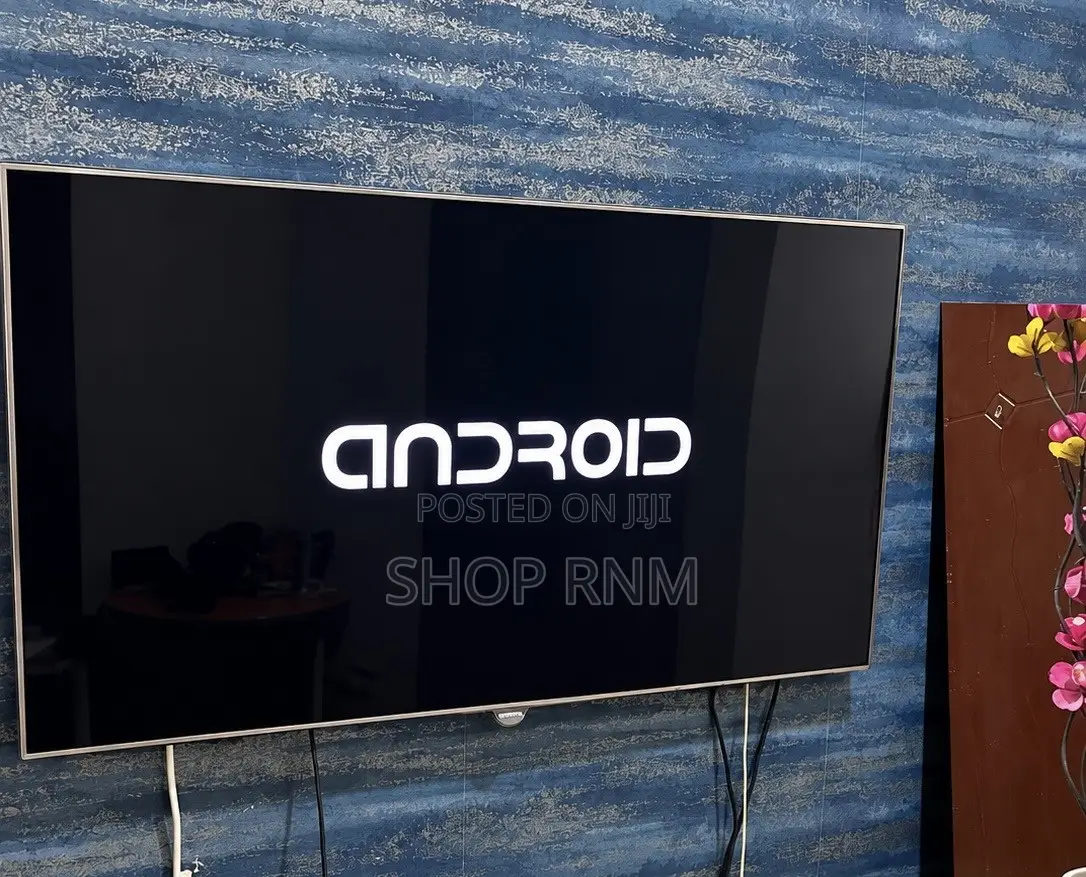 48-Inch Digital Flat-Screen TV