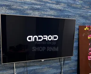 48-Inch Digital Flat-Screen TV