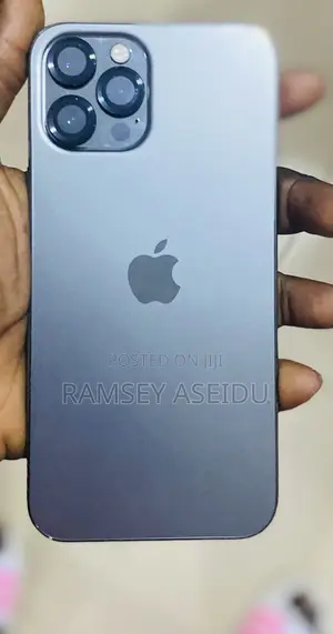 Apple iPhone 12 Pro Max 128 GB Gray