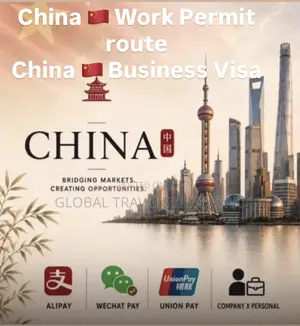 China Work Permit