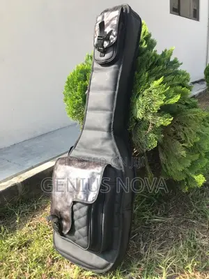 Bass Guitar Bag