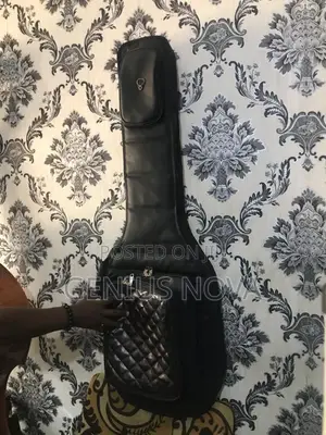 Bass Guitar Bag