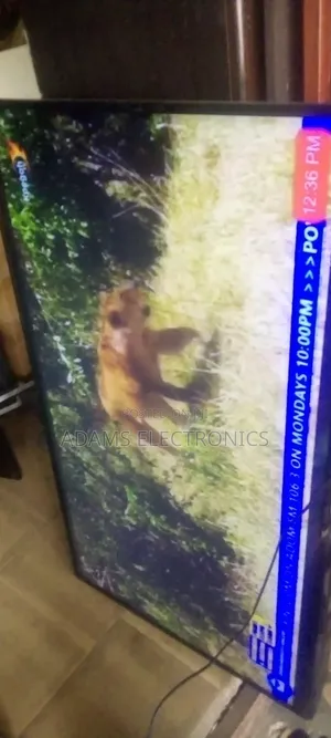A Slightly Used Panasonic Smart 55 Inches TV for Sale