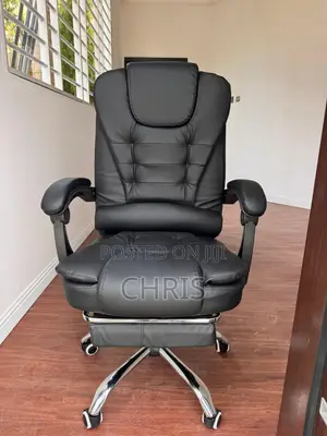 Ergonomics Office Chair