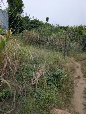 Legally Registered Land in Obosomase 3 Plots From Main Aburi Road