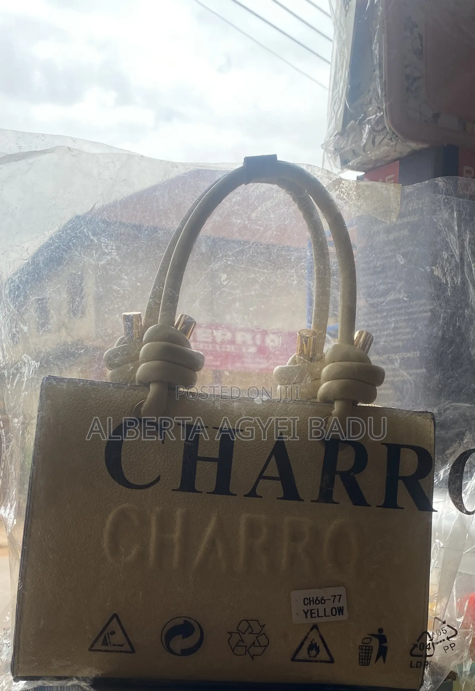 Ladies Bag