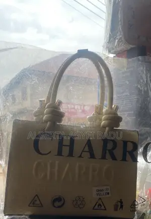 Ladies Bag
