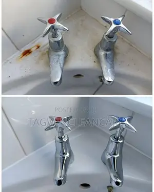 Cleaning Sink