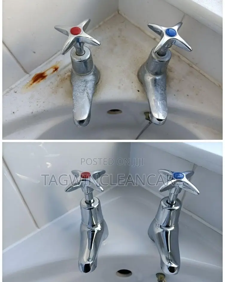 Cleaning Sink