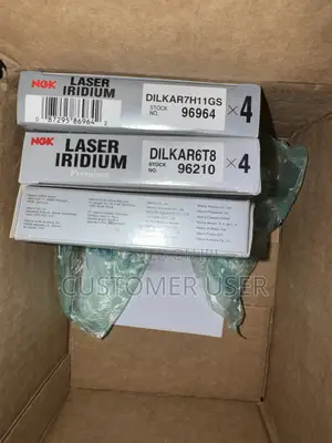 NGK Spark Plugs