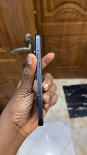 Apple iPhone 15 Pro Max 256 GB Black