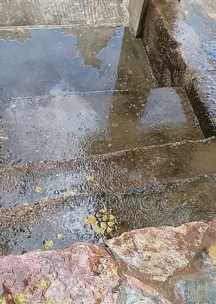 Cleaning Soap for Pavement, Sidewalks, and More. 250 Grams