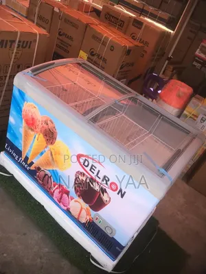 Delron Quality Ice Cream Freezer 258 Litres