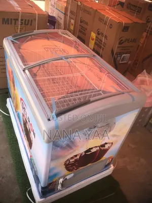 Delron Quality Ice Cream Freezer 258 Litres
