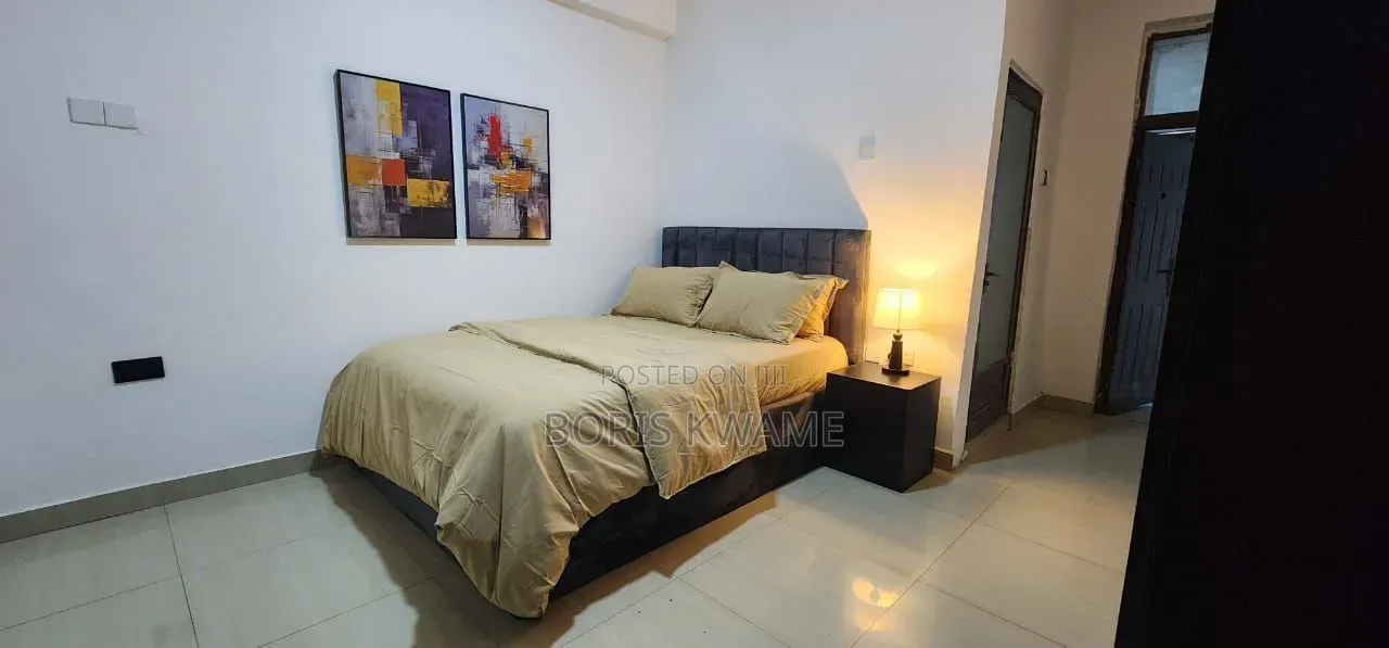 Furnished 1bdrm Apartment in Dzorwulu for rent