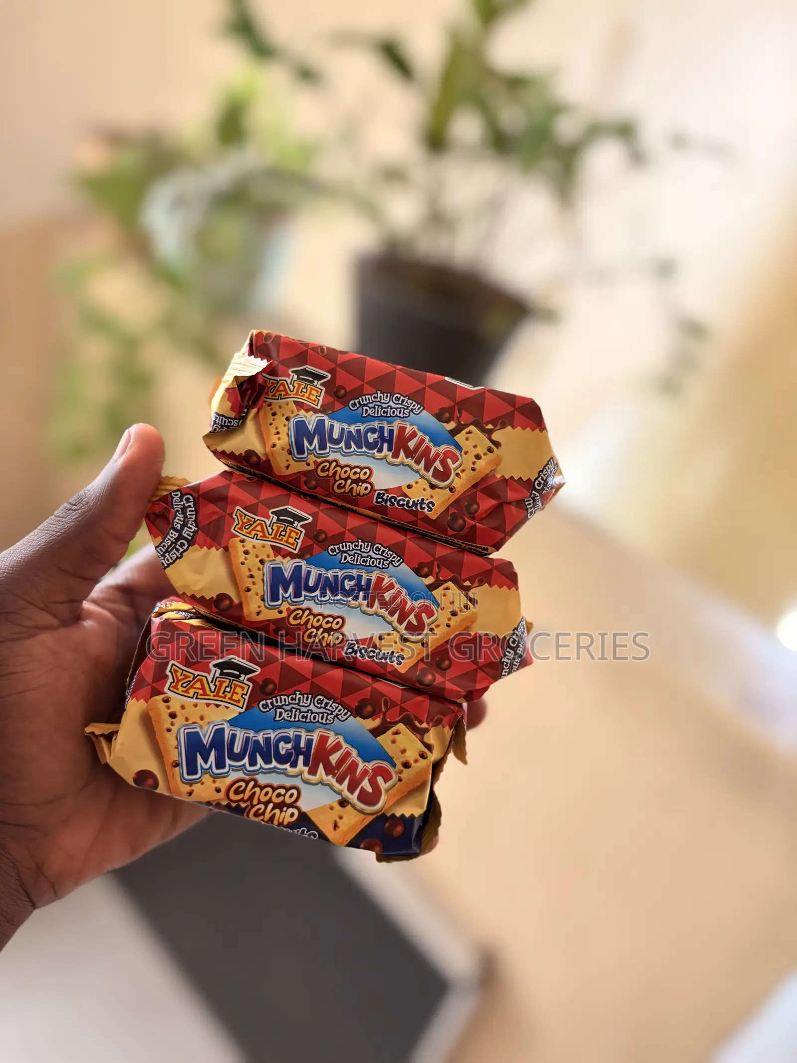 Munch Kins Biscuit