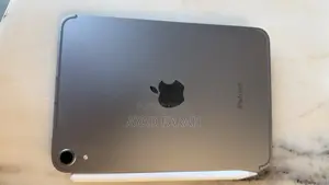 Apple iPad mini 7 256 GB Gray