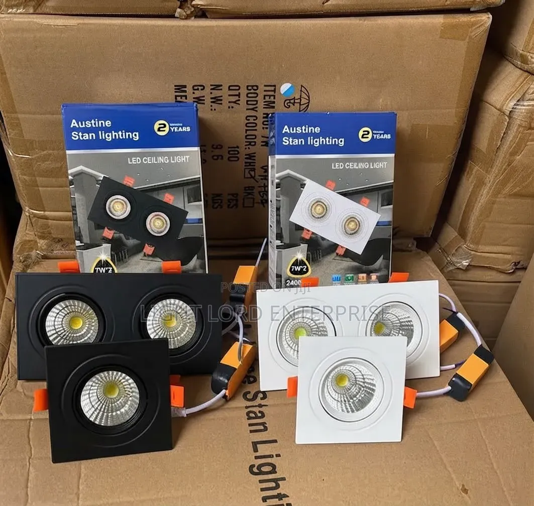 Austin Stan Double Face Spot Light Dimmable