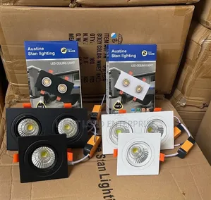 Austin Stan Double Face Spot Light Dimmable