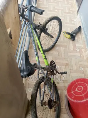 Mountain Bike