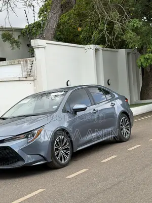 Toyota Corolla LE 2021 Gray