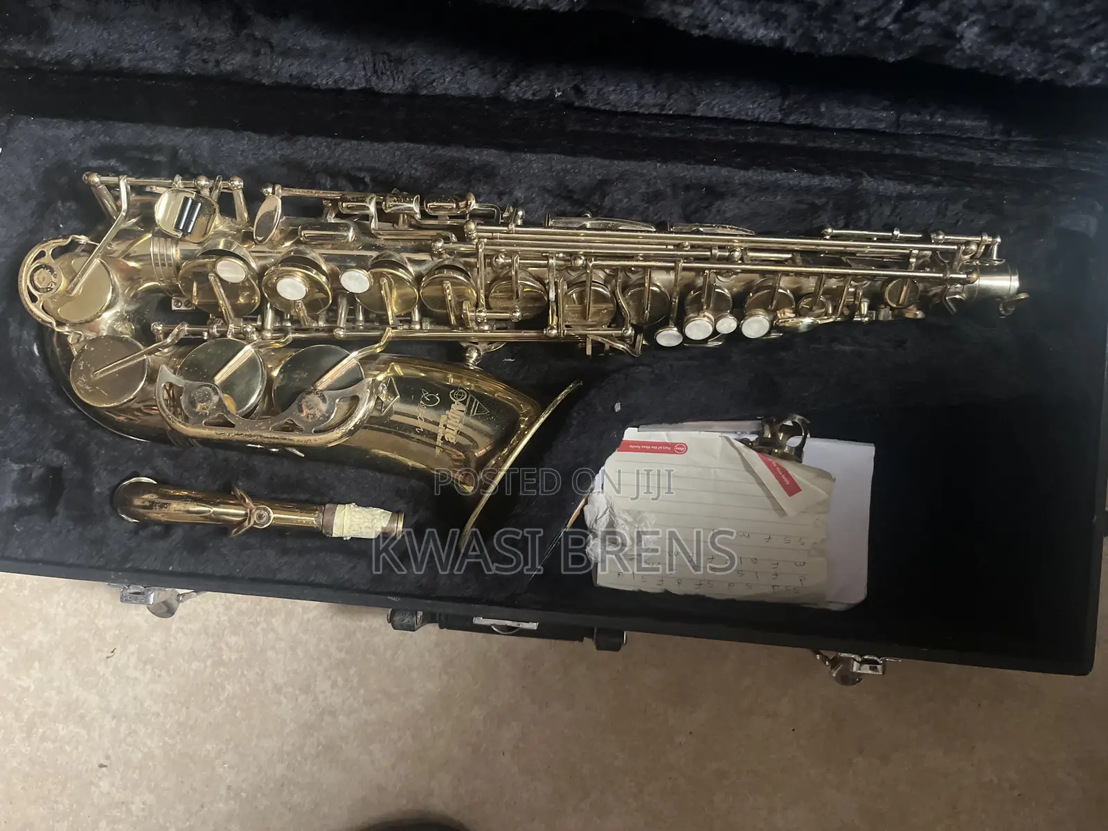Alpine Alto Saxophone