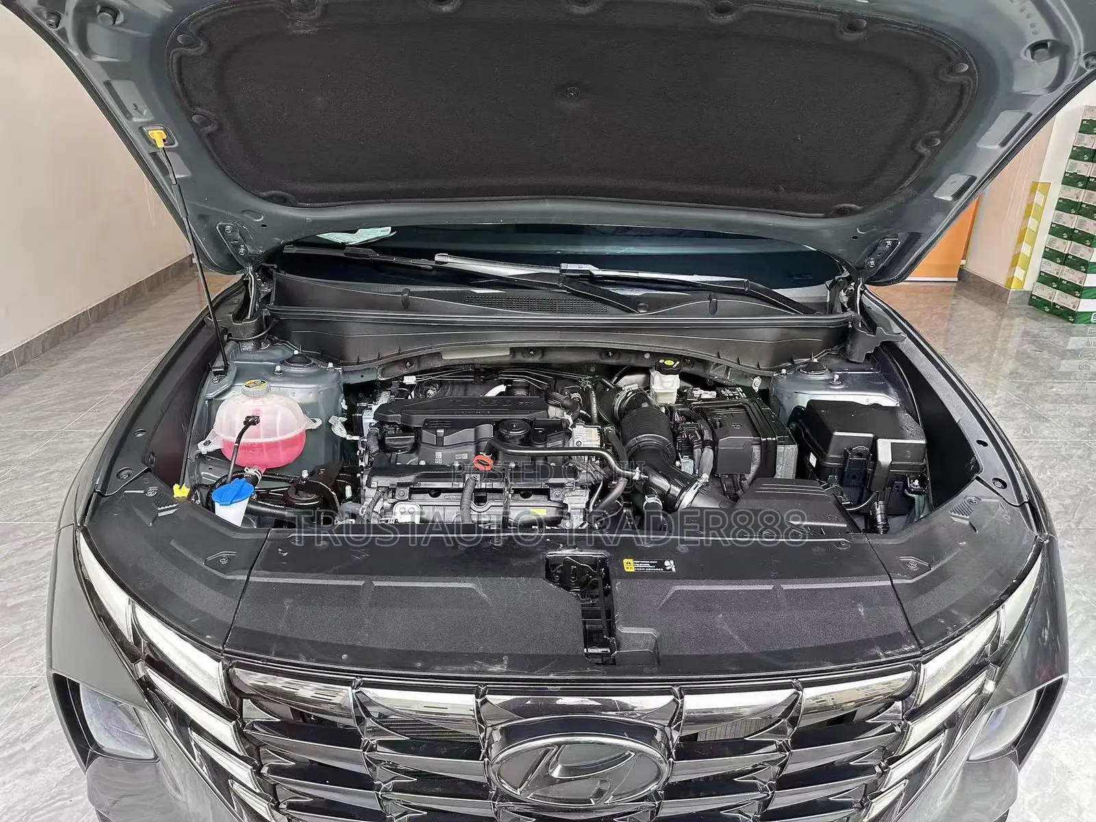 Hyundai Tucson 2023 Green