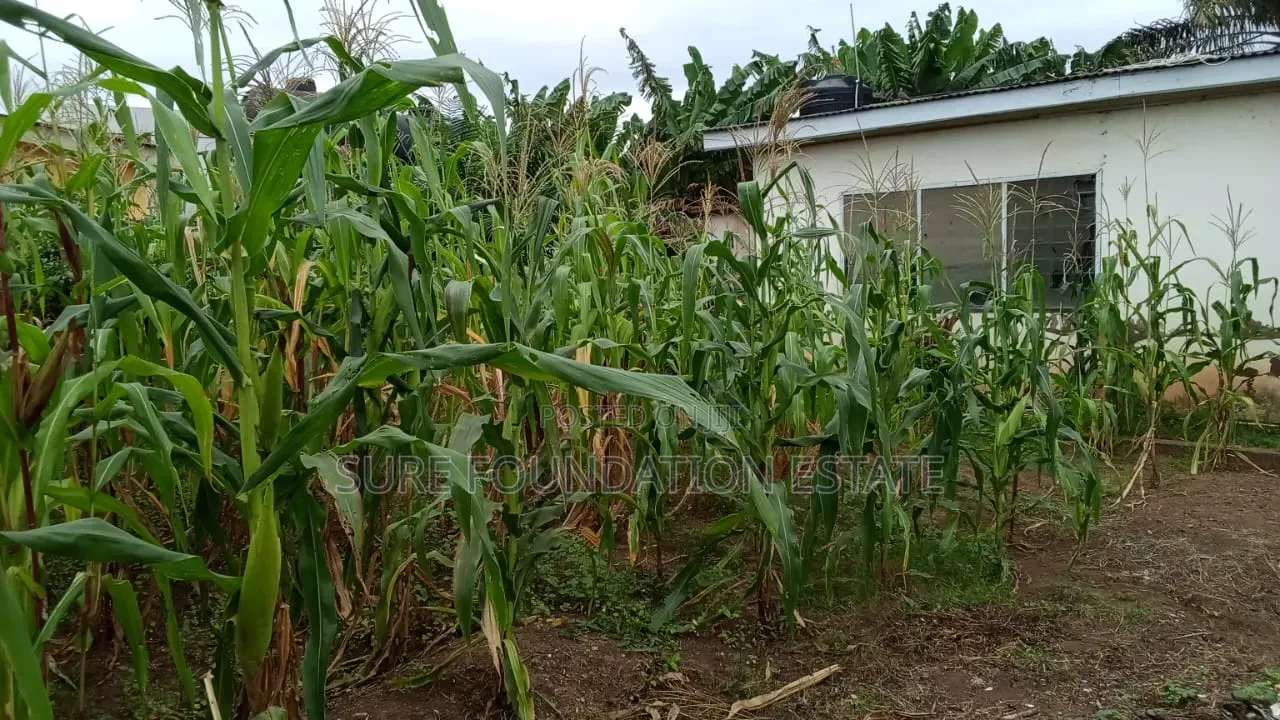 4bdrm House in Dansoman for sale