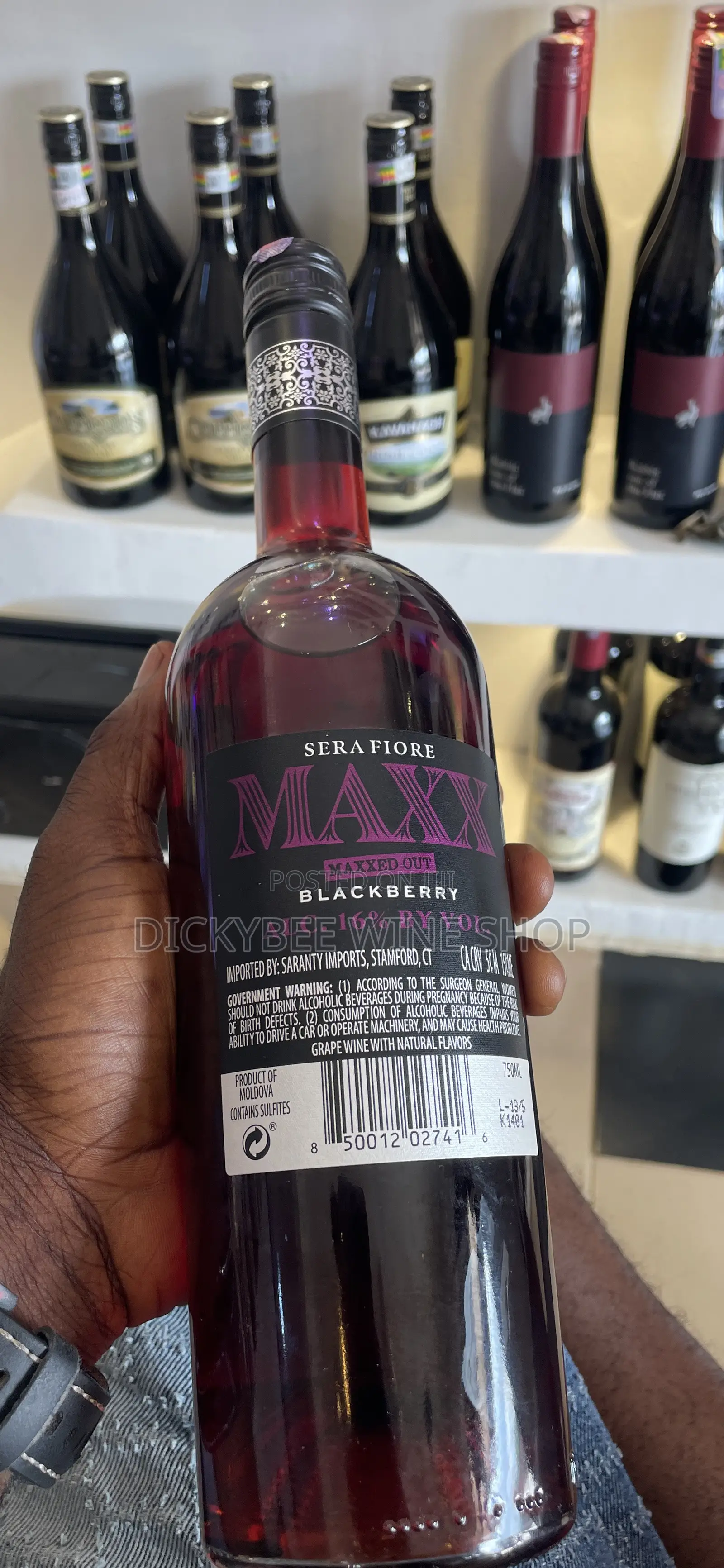 Sera Fiore Maxx Blackberry