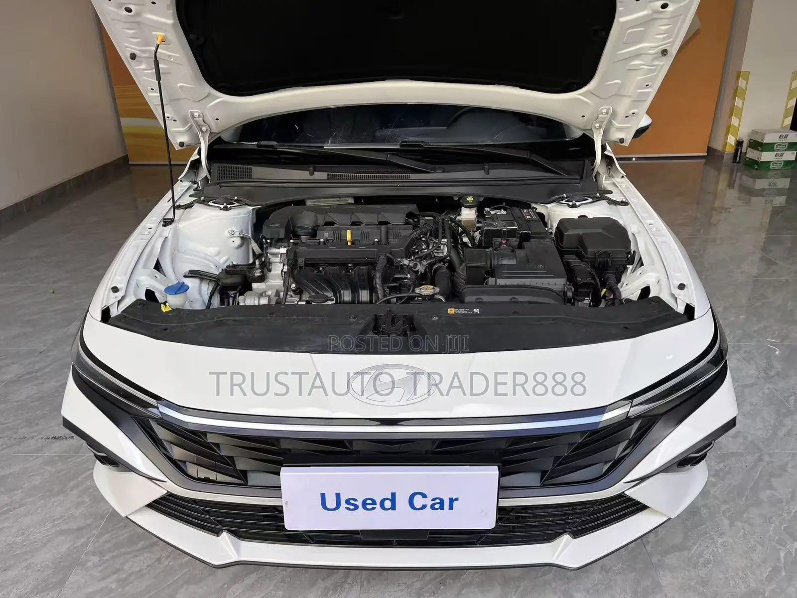 Hyundai Elantra 2024 White