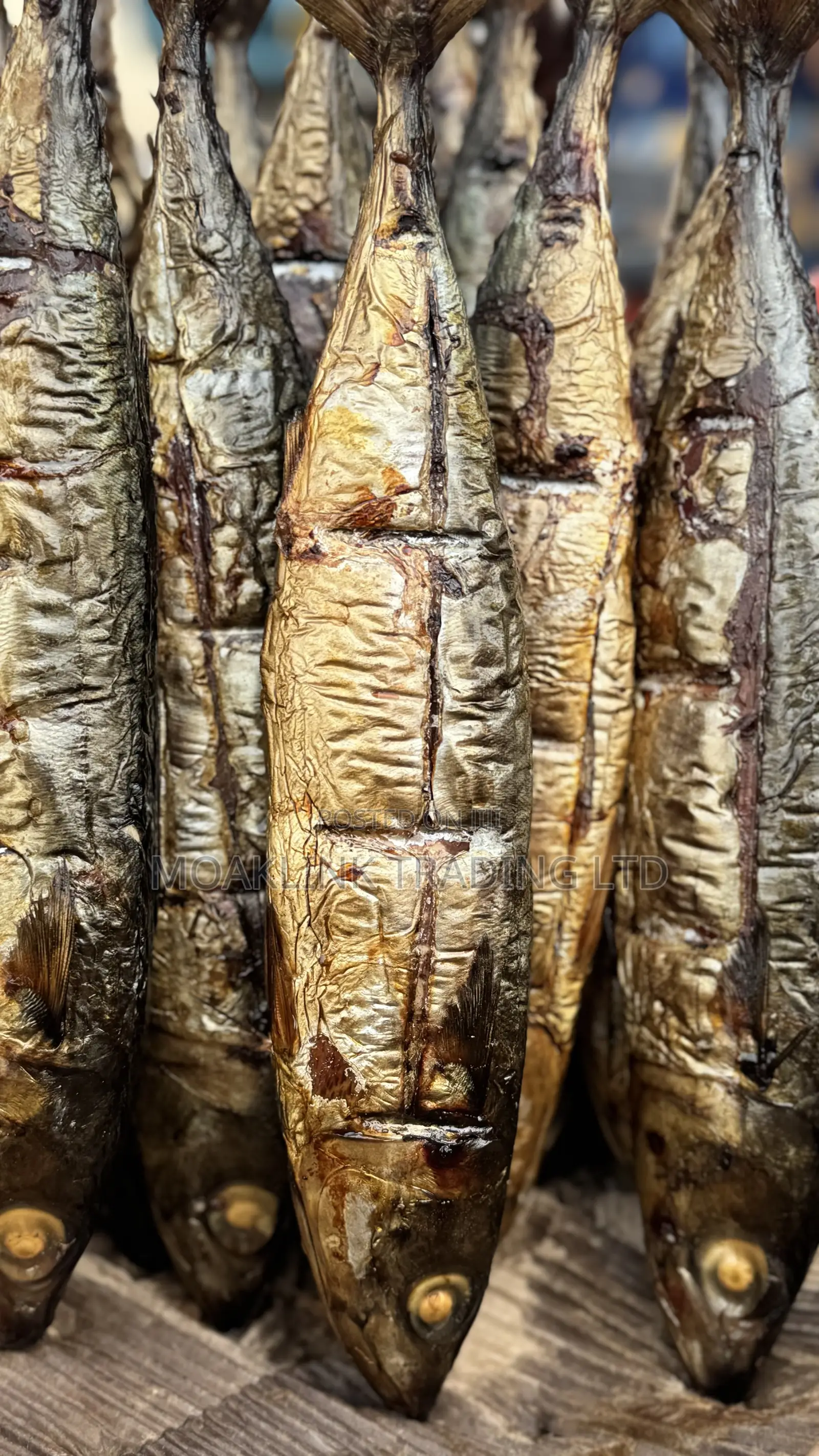 Smoked Salmon (Mackerel) Medium