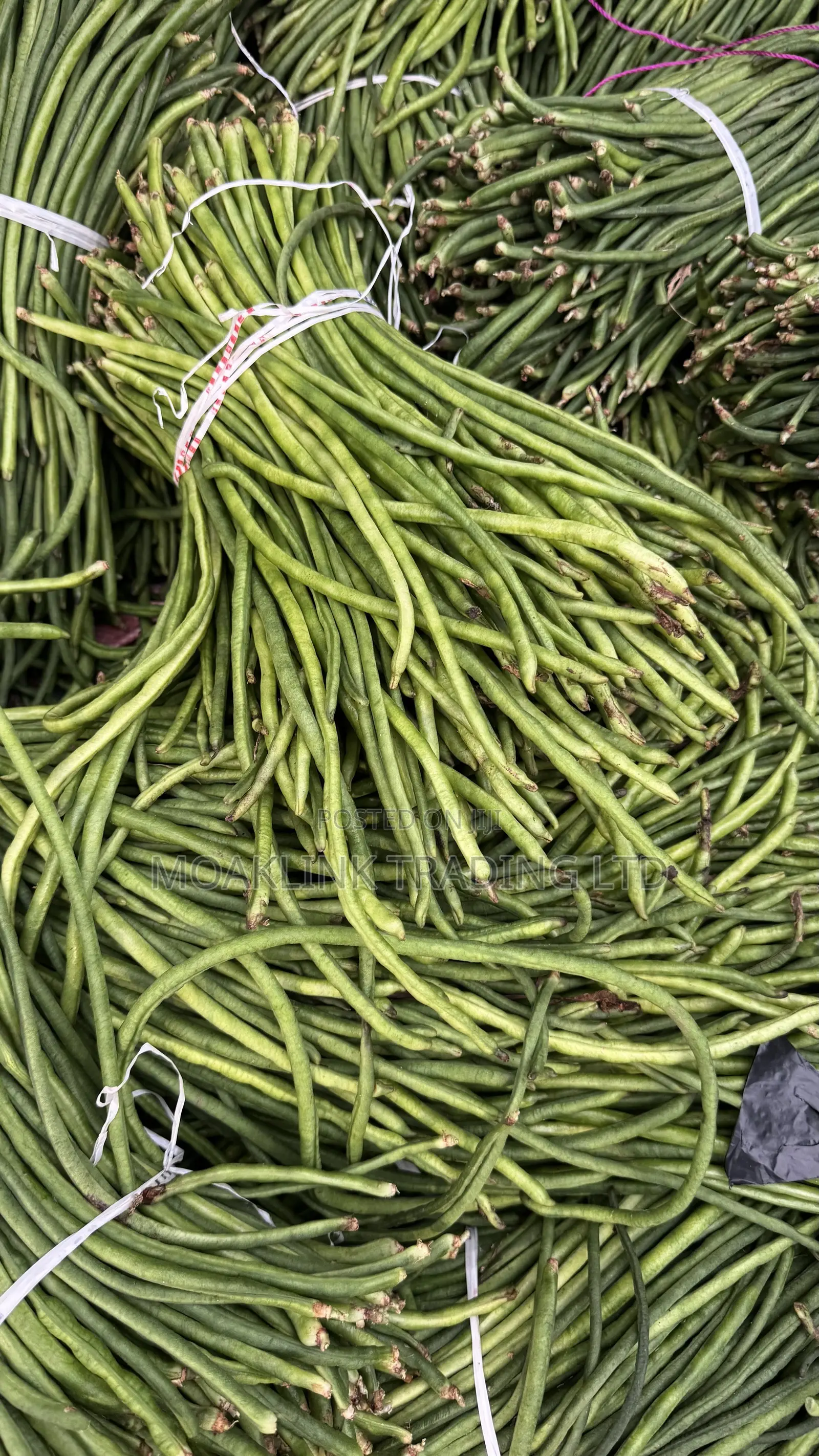 Green Beans 1 Bunch