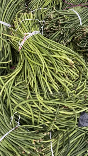 Green Beans 1 Bunch