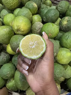 Fresh Lemon
