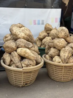 Sweet Potato
