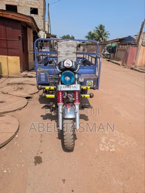 Luojia Clean Tricycle 2023 Blue