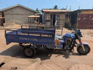Luojia Clean Tricycle 2023 Blue