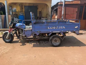 Luojia Clean Tricycle 2023 Blue