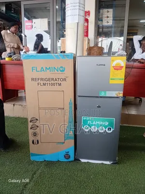 Enjoy Reliable Cooling With Flamino FLM1100TM 80L
