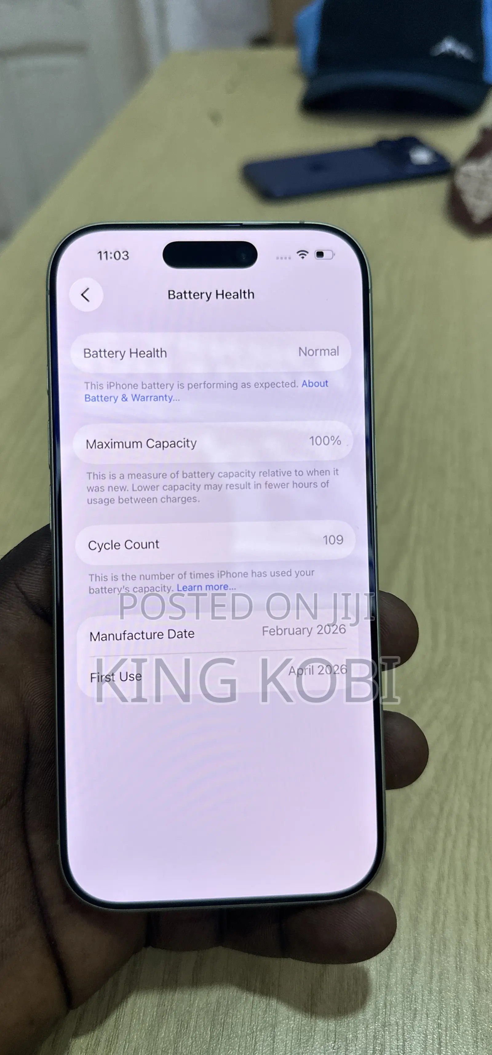 Apple iPhone 17 256 GB Green