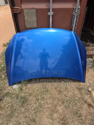 Hyundai Elantra Bonnet
