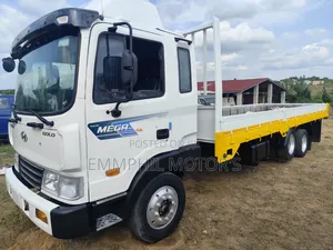 Hyundai Gold Double Axle. Manual Engine.