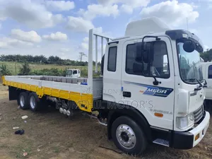 Hyundai Gold Double Axle. Manual Engine.